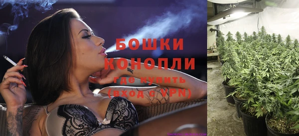 дживик Майский