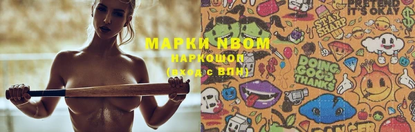 дживик Майский