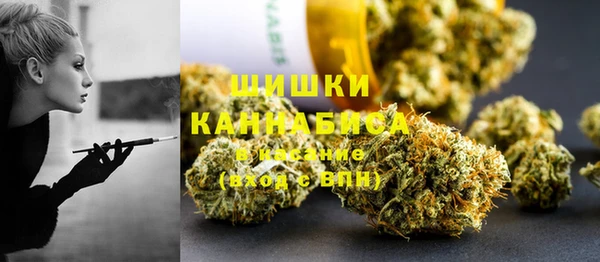 дживик Майский